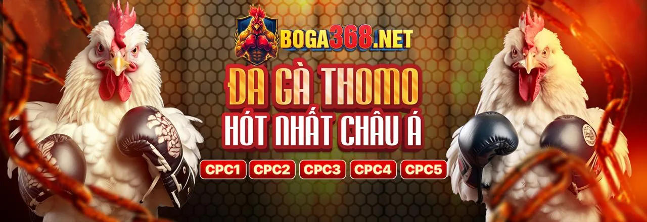 Đá Gà Trực Tuyến Hấp Dẫn tại 89vin